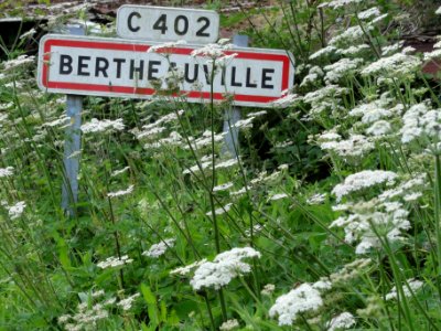 Bertheauville (Seine-Mar.) entrée