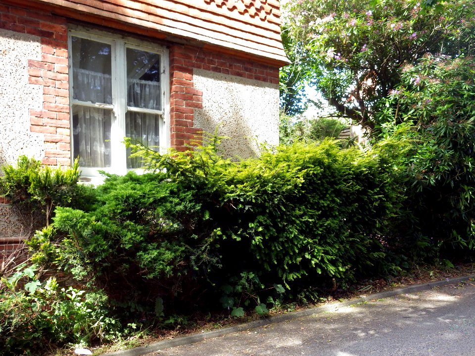 Benchmark, 12 Gunters Lane, Bexhill (2)