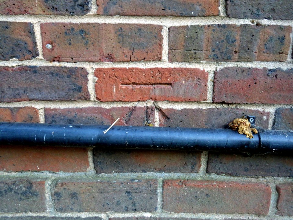 Benchmark, 10 Glovers Lane, Bexhill