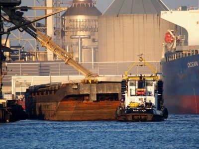 Bertus jr ENI 06003353, Port of Amsterdam, pic1