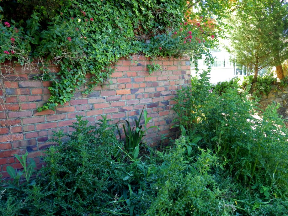 Benchmark, Wall, 195 Cooden Sea Road, Bexhill (2)