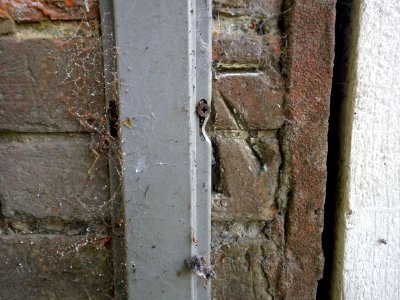 Benchmark, 12 St. Mary's Cottages, Ninfield Road, Bexhill