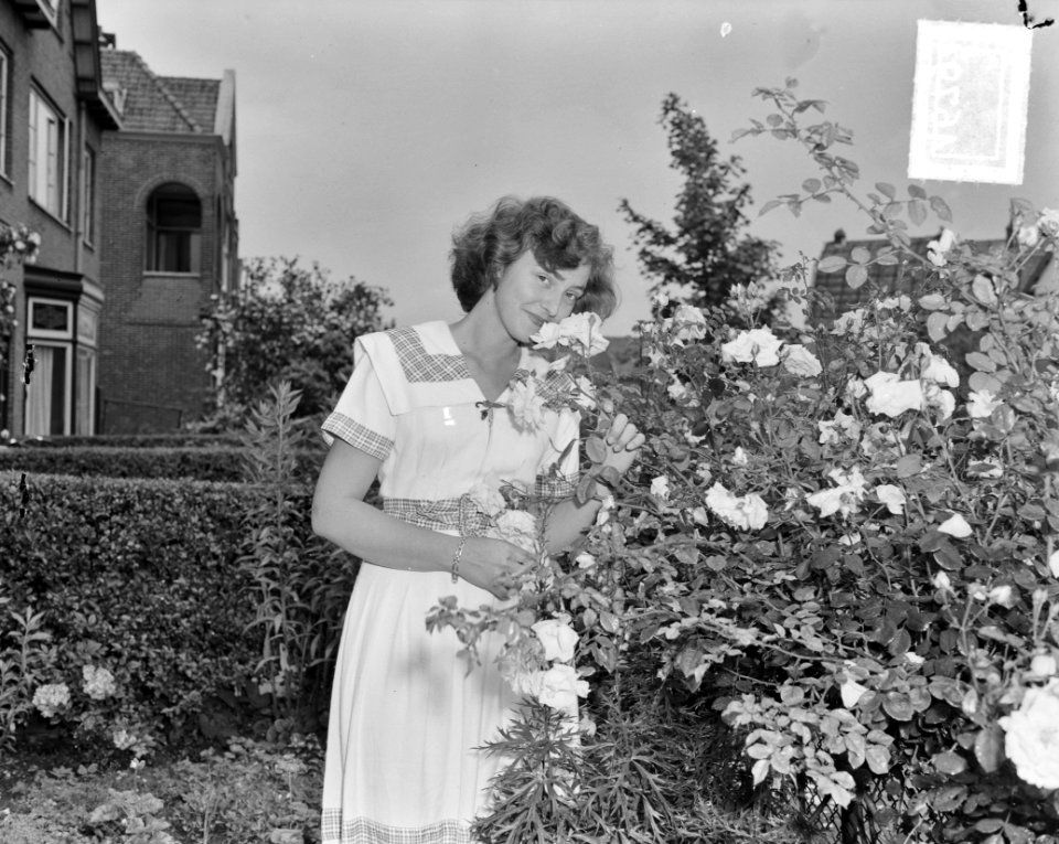Beppie Landmeter bloemenkoningin van Haarlem, Bestanddeelnr 904-6794