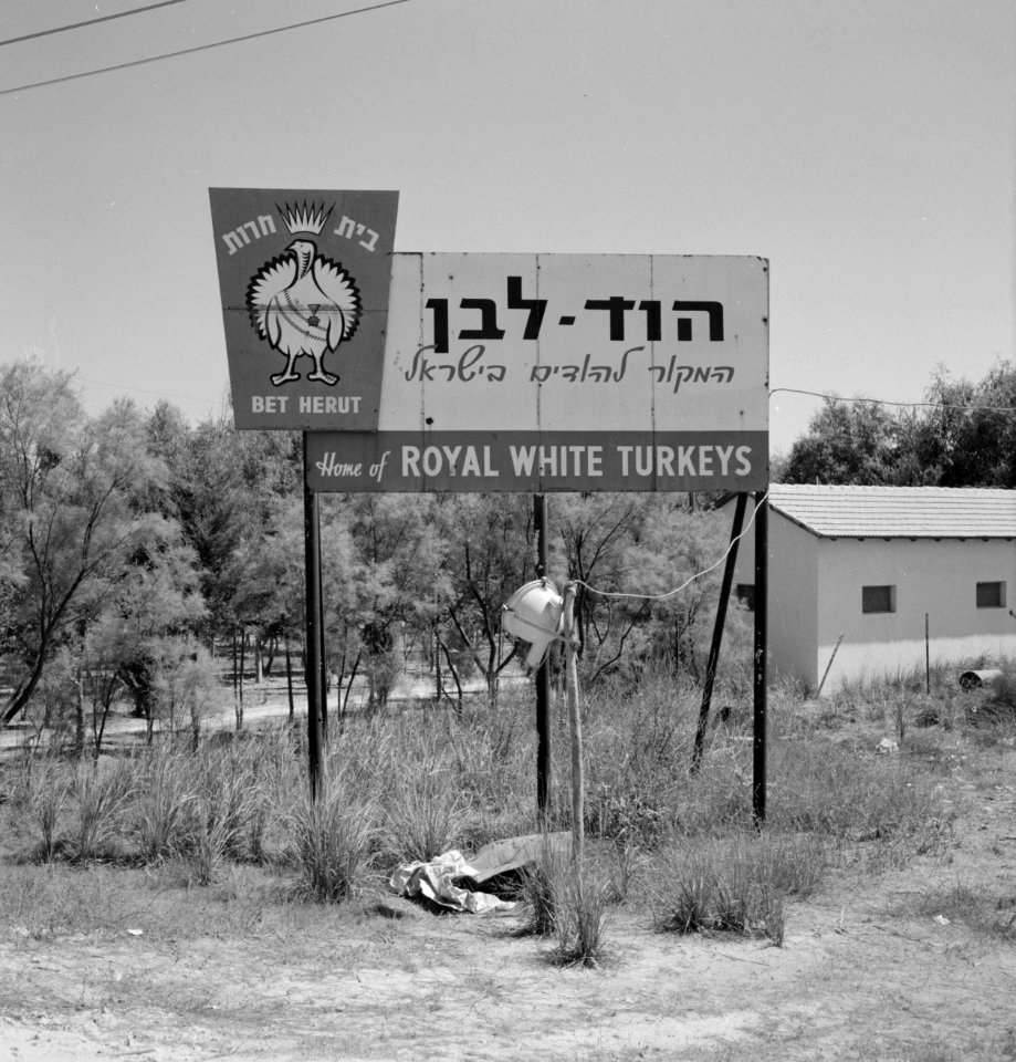 Berdrijfsaanduiding kalkoenfokkerij in Beit Herut, Bestanddeelnr 255-4602