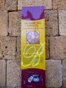 Benavente - Castillo de la Mota y Torre del Caracol (Parador Nacional de Benavente) 03