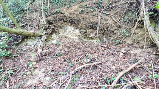 Benzenrade-Benzenradergroeve (1)