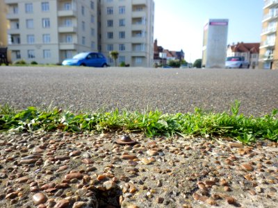 Benchmark, Sea Wall, Telephone Box, East Parade, Bexhill