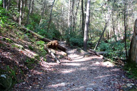 Benton MacKaye Trail, Gilmer County, Georgia