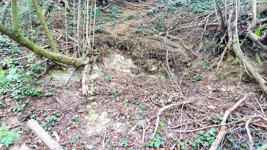 Benzenrade-Benzenradergroeve (7)