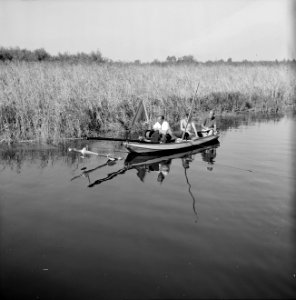 Berekeningen over de sluitmethodiek van de afsluiting n1 (tussen polders panneko, Bestanddeelnr 250-8035