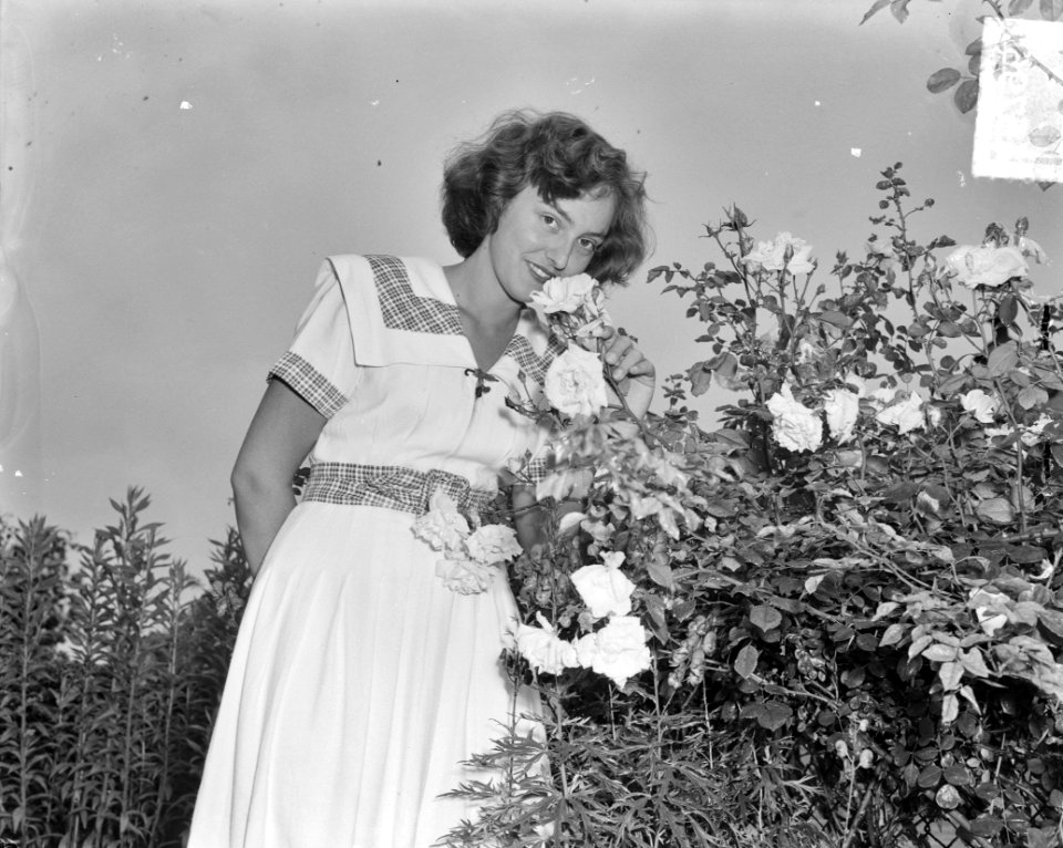 Beppie Landmeter bloemenkoningin van Haarlem, Bestanddeelnr 904-6796