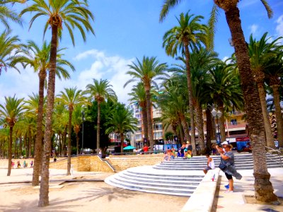 Benidorm - Parque de Elche 6