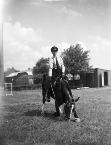 Bereden Politie Amsterdam 50 jaar dressuurproeven, Bestanddeelnr 904-0278