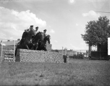 Bereden Politie Amsterdam 50 jaar dressuurproeven, Bestanddeelnr 904-0275