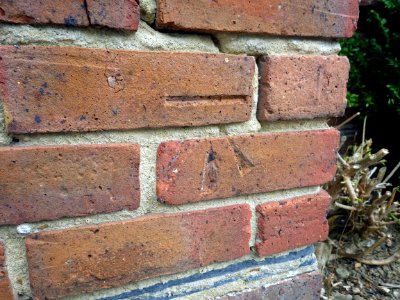Benchmark, 15 Walton Park, Bexhill