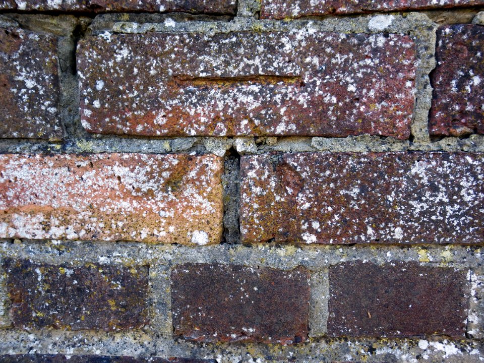Benchmark, Wall, 6 Pages Avenue, Bexhill