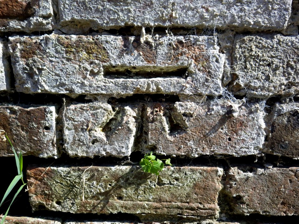 Benchmark, Wall, 71-73 Amhurst Road, Bexhill