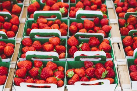 Fruits market strawberries photo