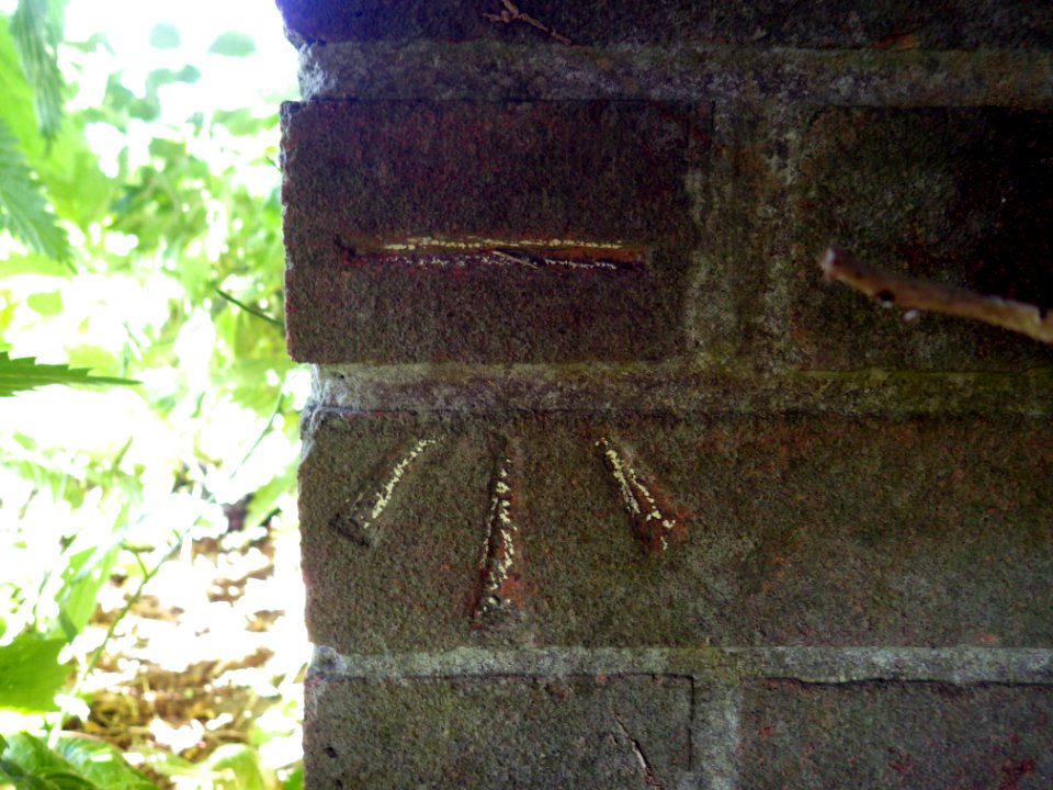 Benchmark, Service building, Wrestwood Road - 1066 Country Walk, Bexhill