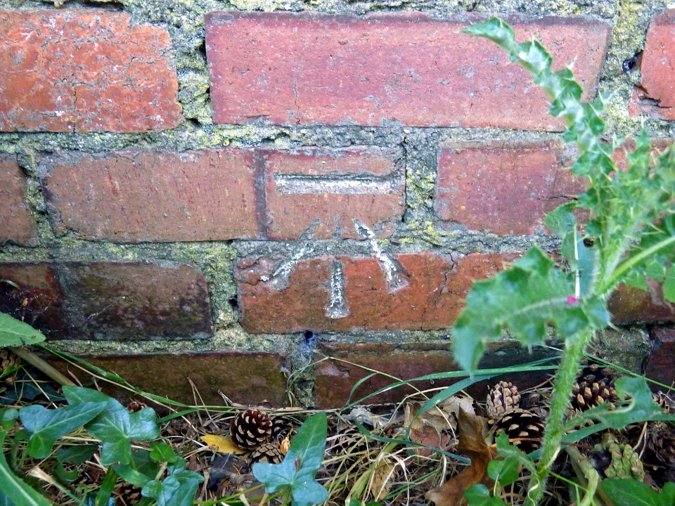 Benchmark, Wall, 195 Cooden Sea Road, Bexhill