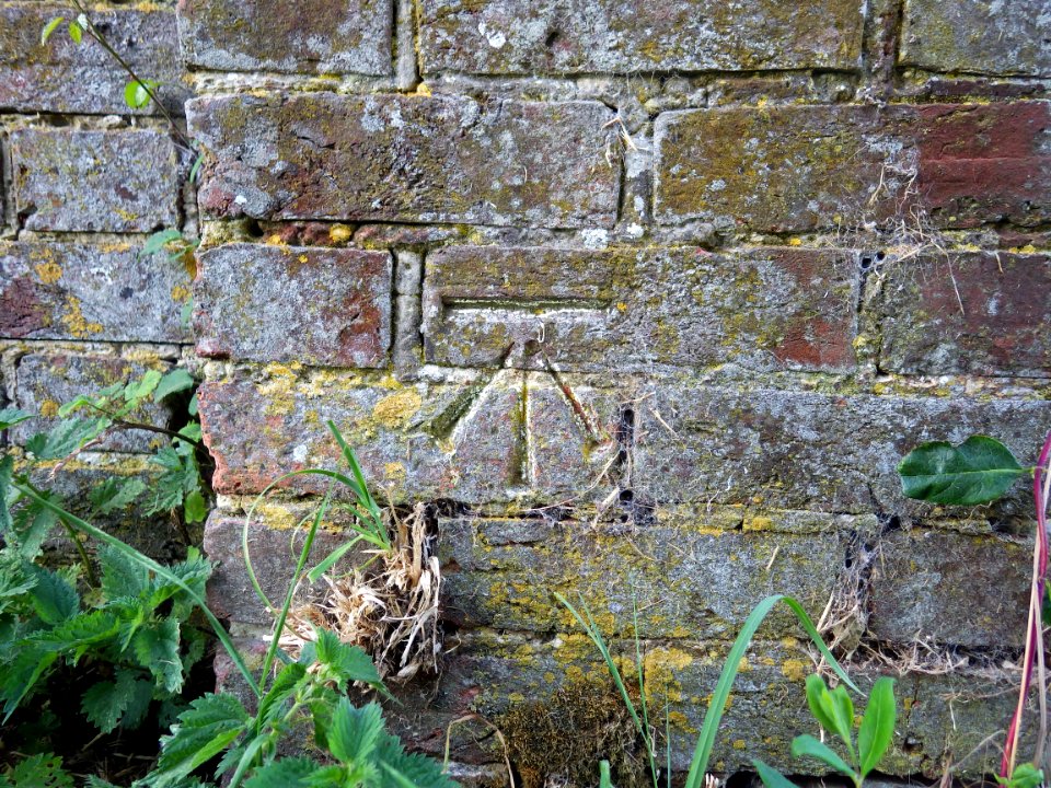 Benchmark, wall, Actons Farm, Bexhill