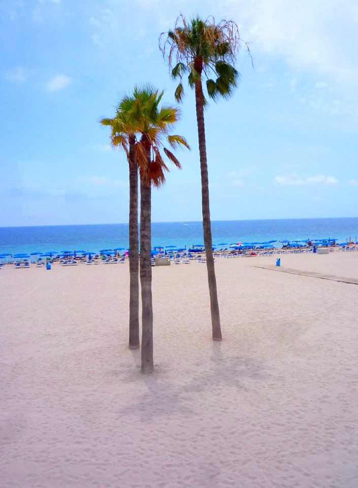 Benidorm - Playa de Poniente 09