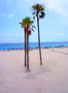 Benidorm - Playa de Poniente 09