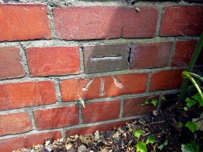 Benchmark, Wall, Chantry Lane, Bexhill