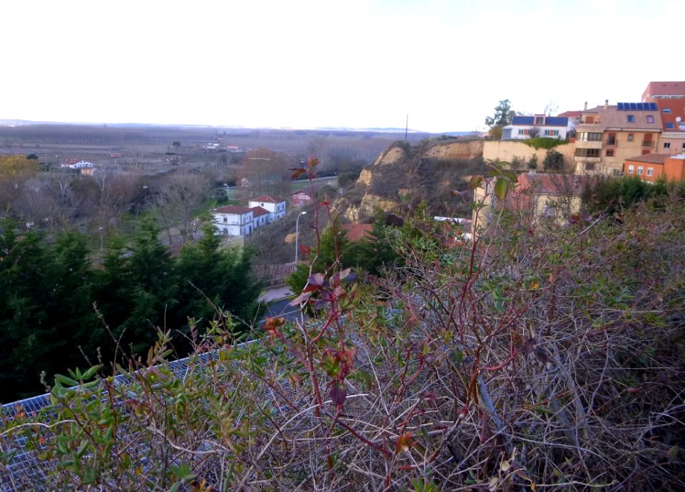 Benavente - Vista desde el Paseo de la Mota 1