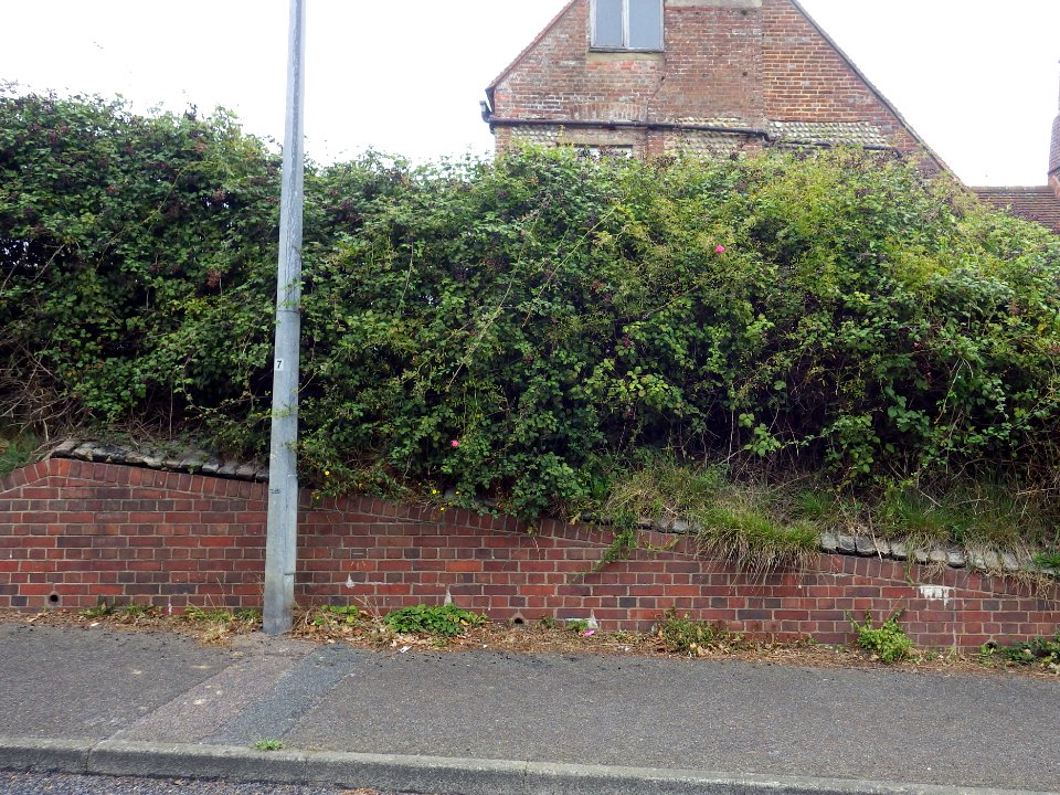 Benchmark, wall, Glyne Manor, Glyne Drive, Bexhill (2)