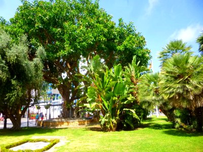 Benidorm - Plaza de la Hispanidad 4