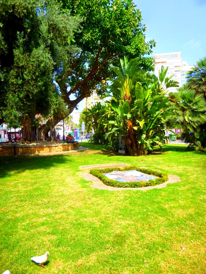 Benidorm - Plaza de la Hispanidad 3