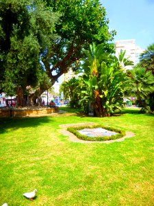 Benidorm - Plaza de la Hispanidad 3