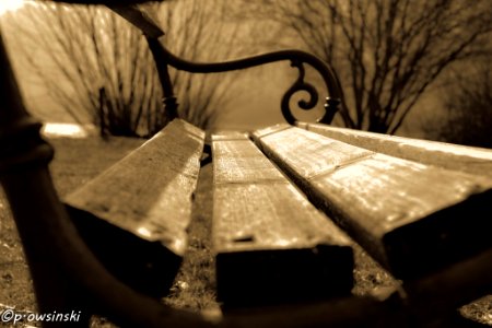Bench On The Lake (183785511)