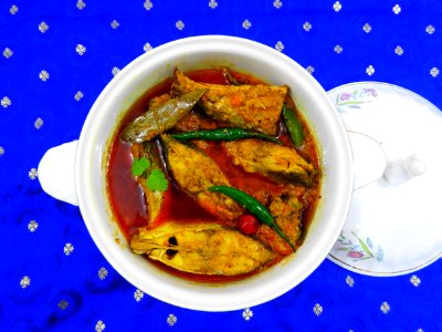 Bengali Fish Curry photo