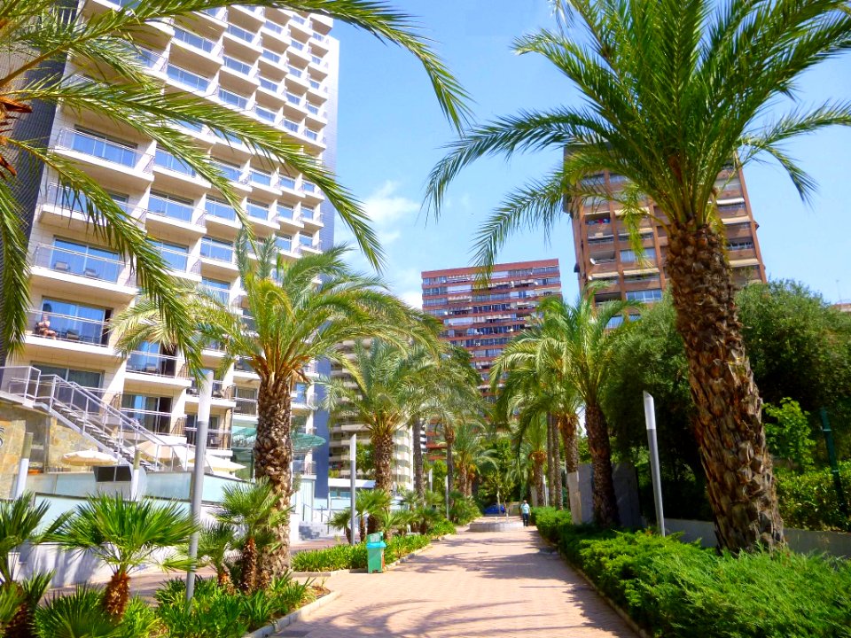 Benidorm - Sandos Monaco Beach Hotel & Spa 3