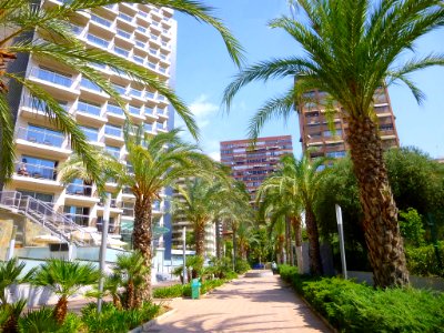 Benidorm - Sandos Monaco Beach Hotel & Spa 3