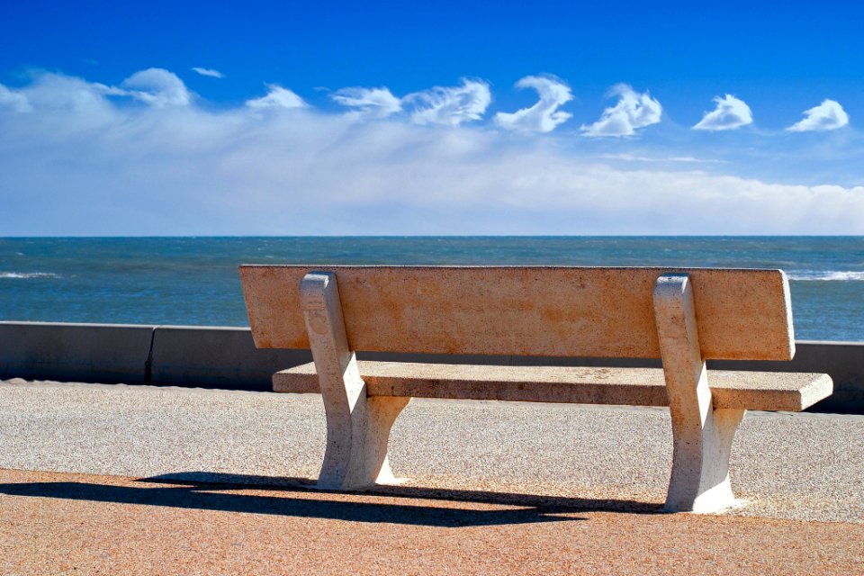 Bench With A View (221117545)
