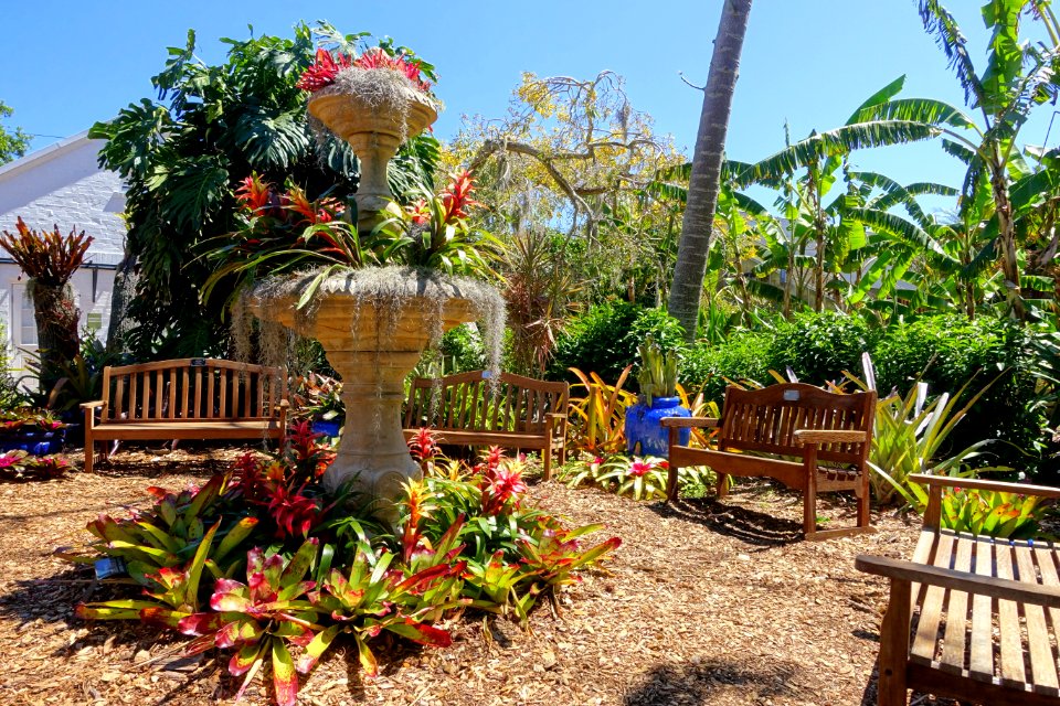 Benches - Marie Selby Botanical Gardens - Sarasota, Florida - DSC01720