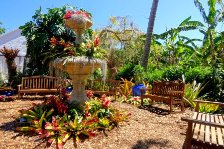 Benches - Marie Selby Botanical Gardens - Sarasota, Florida - DSC01720