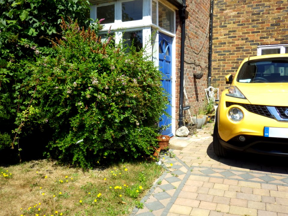Benchmark, 56 Collington Lane West, Bexhill (2)