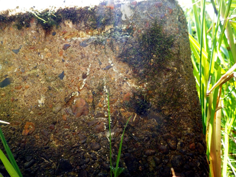 Benchmark, Bridge, near Footpath 72B, Bexhill