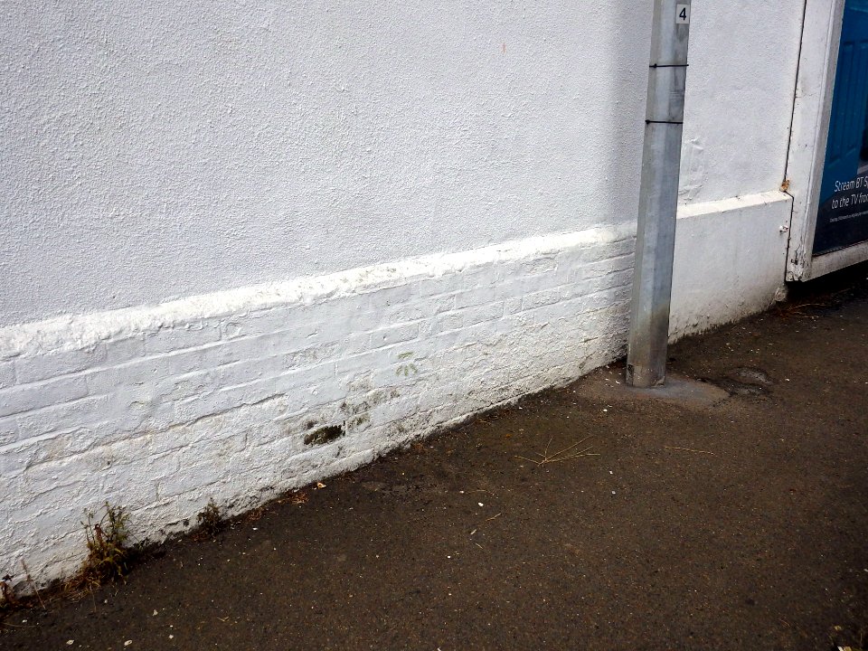 Benchmark, 67 Little Common Road, Bexhill (2)