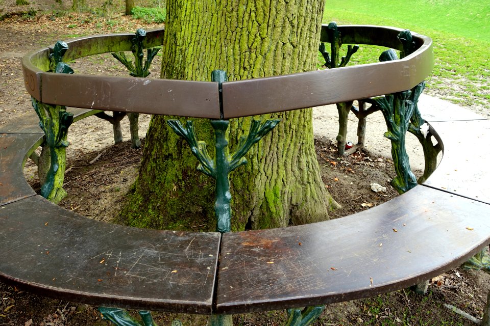 Bench - Bois de la Cambre or Ter Kamerenbos - Brussels, Belgium - DSC06595