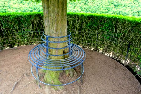 Bench - Yew Garden - Packwood House - Warwickshire, England - DSC08712
