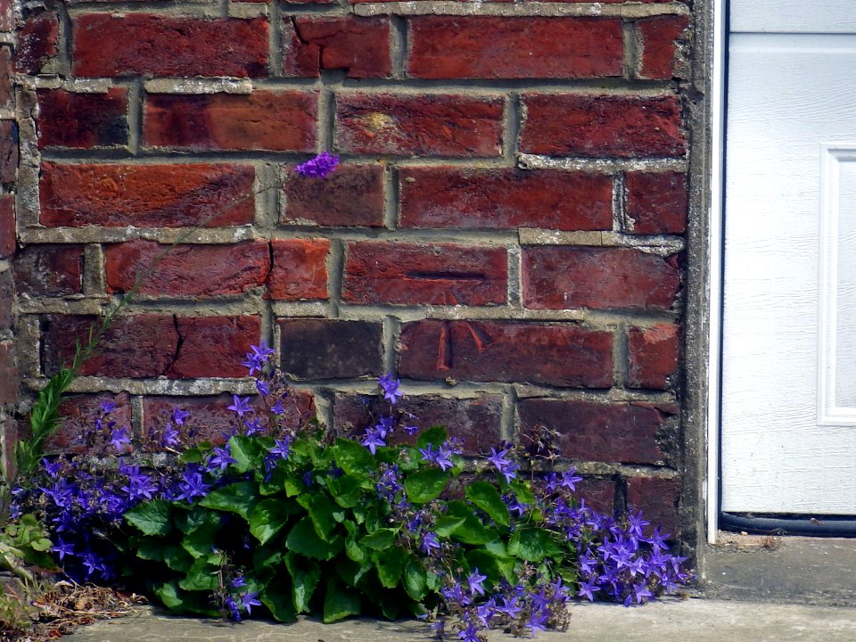 Benchmark, 32 Holliers Hill, Bexhill