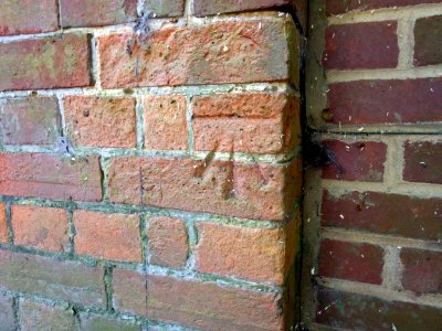 Benchmark, Cobbs Hill Farm, Bexhill
