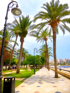 Benidorm - Parque de Elche 1
