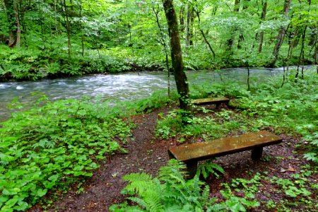 Benches - Oirase Mountain Stream - Towada, Aomori - DSC01076