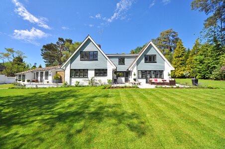 Landscaping gardening modern